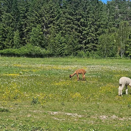 Apartamento Lovely In With Wifi *