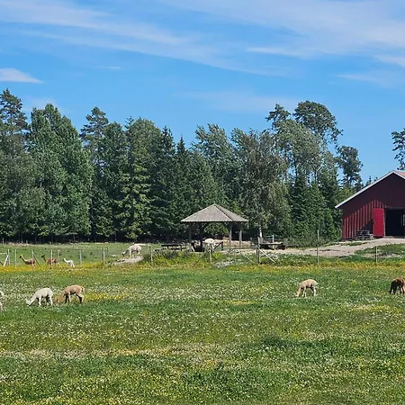 Lovely In With Wifi Apartamento *