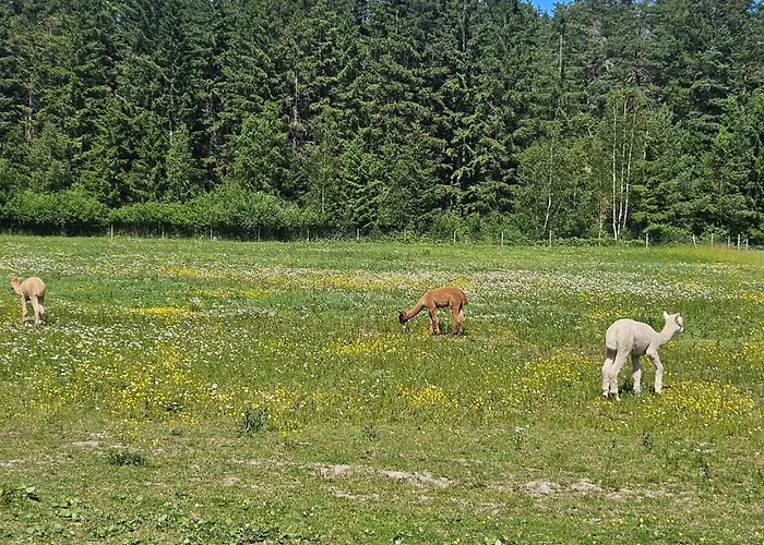 Appartement Lovely In With Wifi *